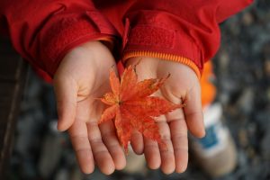 兵庫県のオススメ紅葉スポット