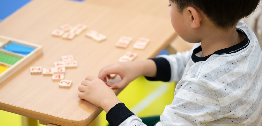 フラッシュカードを見る園児