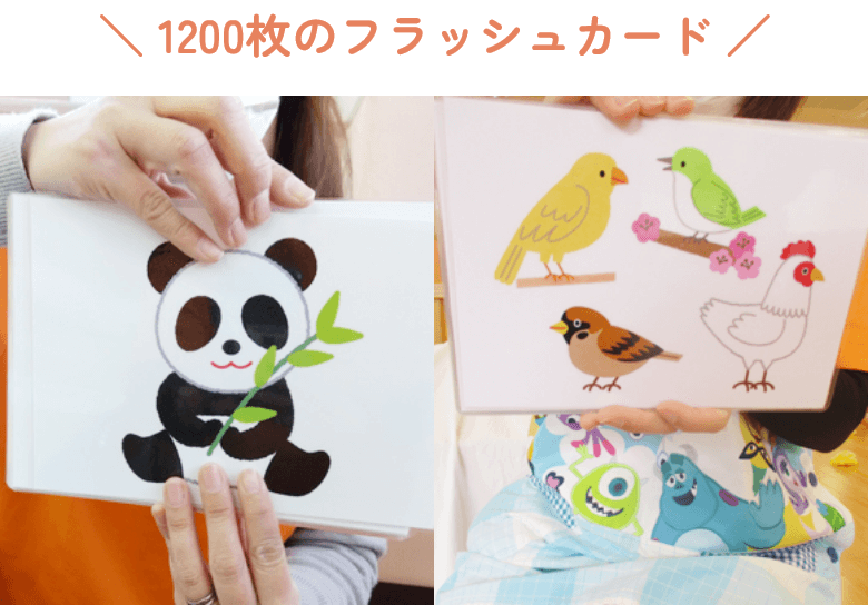 保育士と学ぶ園児