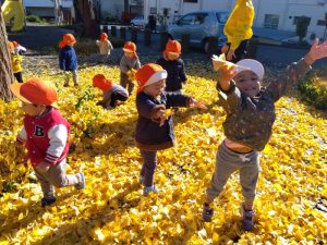 園ブログ　落ち葉遊び🍂サーキット遊び🤸‍♀️