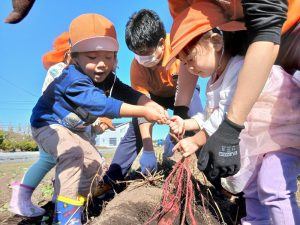 園ブログ　11月の食育活動🍠🍁
