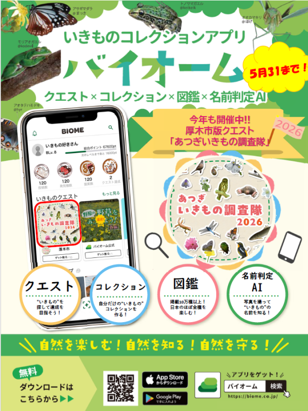 子育てお役立ち情報