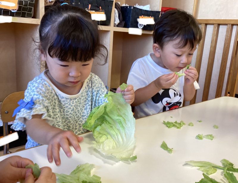 園ブログ　5月食育活動🥬誕生日会🎊