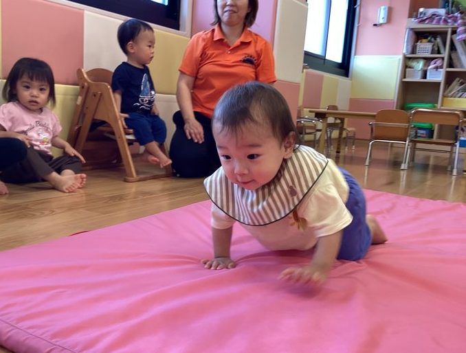 カリキュラムブログ【体操】🤸‍♀️✨