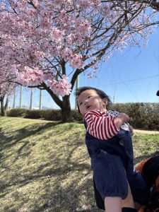 🌸お花見に行きました🌸