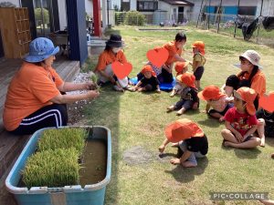 田植え🌾泥んこ遊びをしたよ🍎✨