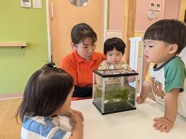 保育士・<small></small> くにこ 先生について