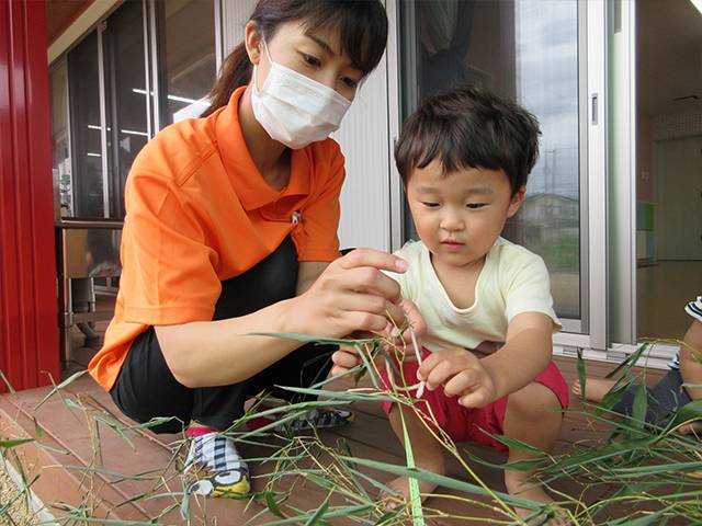 保育士・髙木 美帆 先生について