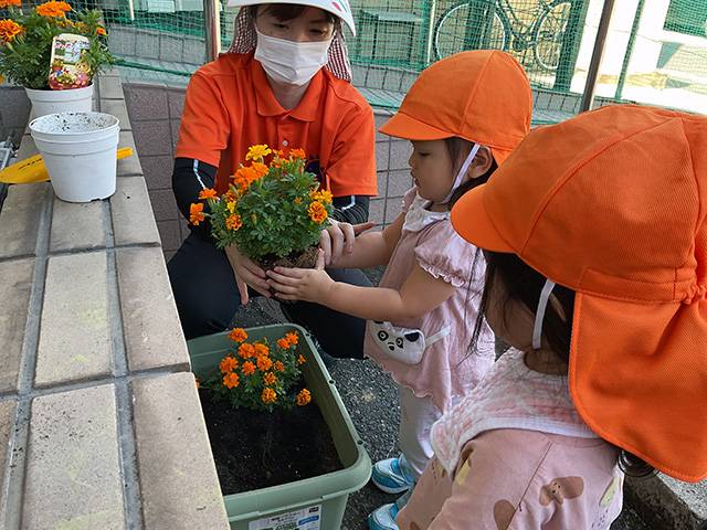 保育士・<small></small> えり 先生について