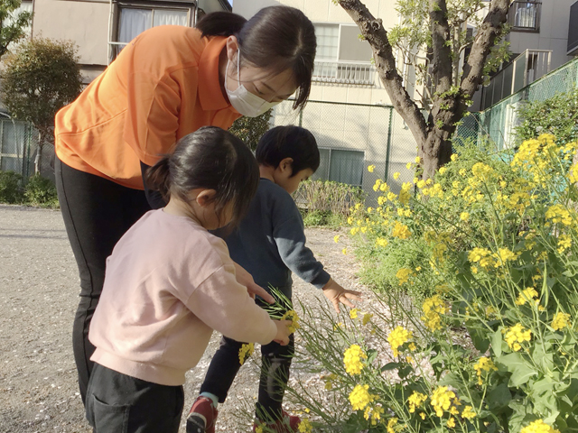保育士・<small></small> まい 先生について