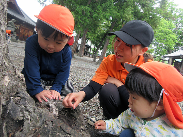 保育士・<small></small> さな 先生について