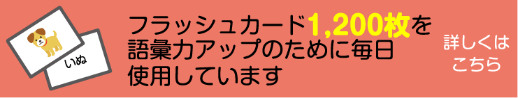 １２００枚のフラッシュカードを使って０歳から２歳までの３年間で語彙力をアップ