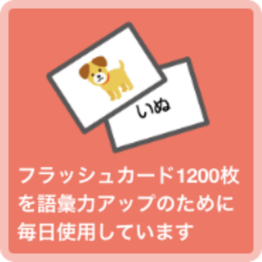 フラッシュカード1200枚を語彙力アップのために毎日使用しています