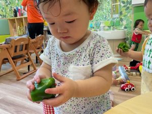 今月の食育とお散歩