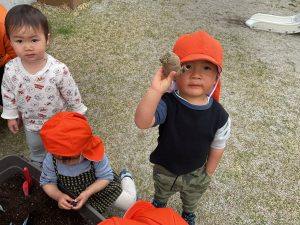 じゃがいもを植えたよ！