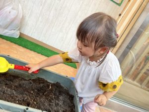 お花を植えました?