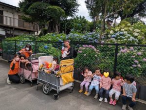 白山神社に紫陽花を見に行って来ました🪻