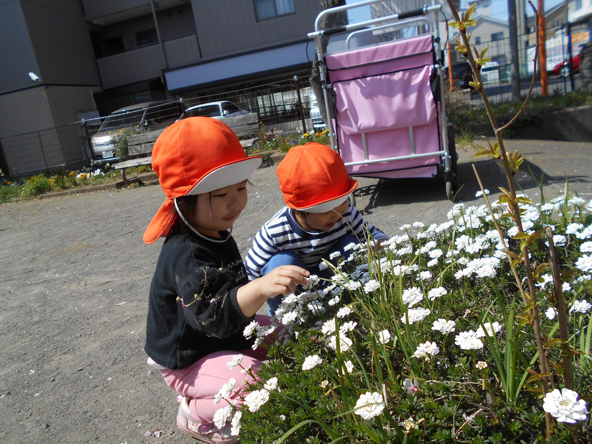 ３月２７日　園ブログ?