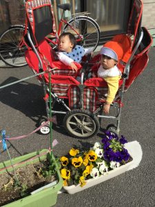 園ブログ　春の訪れを感じる毎日ですね🌸