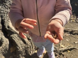 園ブログ　神社へお散歩