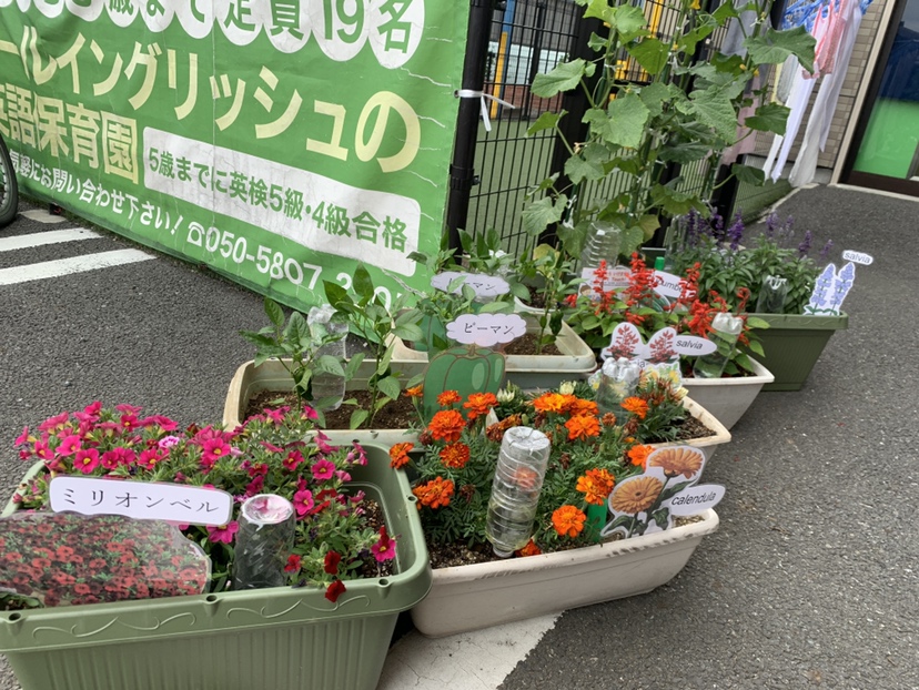 園ブログ　6月は梅雨の季節