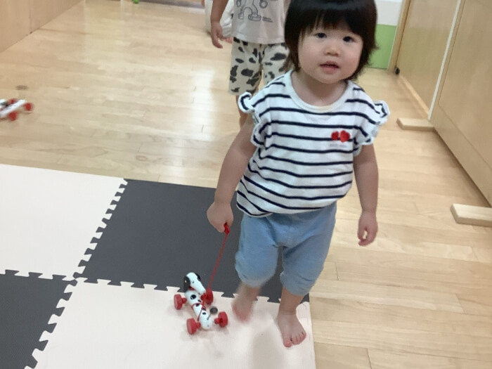 転がす玩具