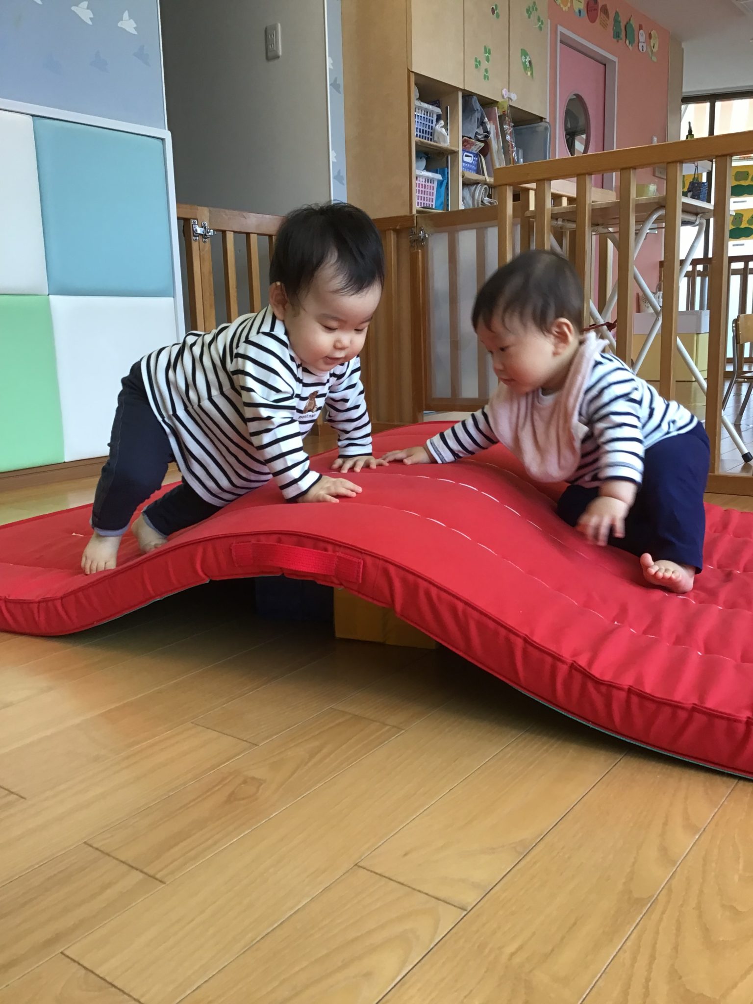 🤸体操カリキュラム🤸
