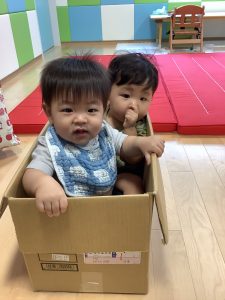 今週の保育の様子