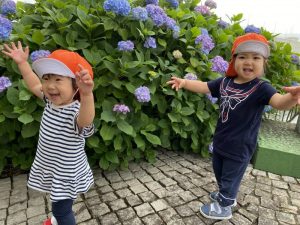 ＊梅雨のお花探しに出かけてきました＊