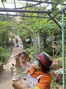＊夏の植物園へ行ってきました＊