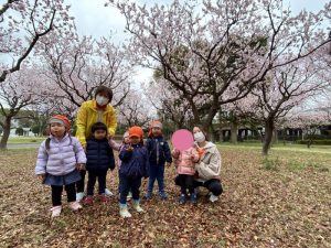 ＊杏子のお花を見に行ってきたよ＊