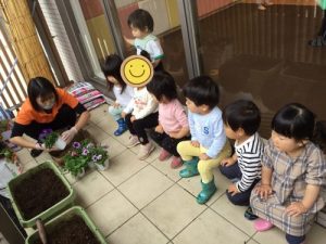 ?トマトとさつまいも?