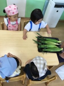 🌽とうもろこし🌽