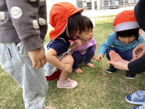 ?ダンゴムシが遊びにきたよ?