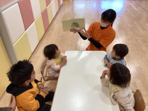 🐰こうさぎ　ぽーん🐰