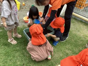 晴れの日の様子☀️