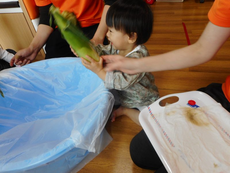 トウモロコシの皮むき！むき！「夏野菜に興味をもとう」