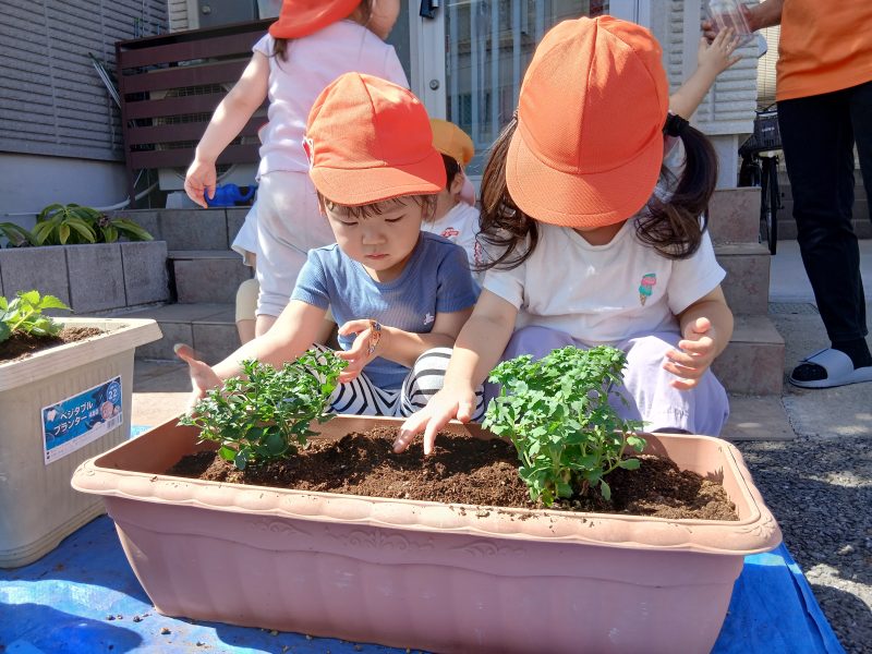 植栽活動