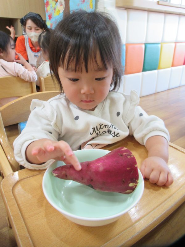 食育活動