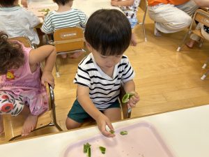 ピーマンの食育🫑