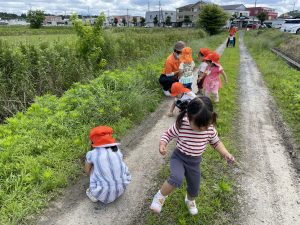 ?あぜ道で遊ぶの楽しいね?