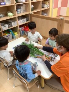 🥕人参を触ったよ🥕