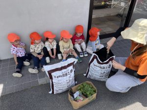 🍆野菜の苗を植えたよ🥒🍠