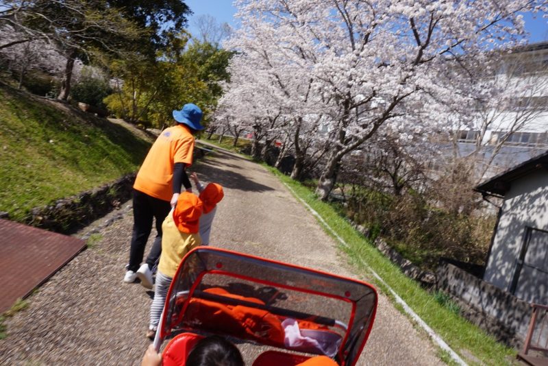 ?桜がとってもきれいだったよ?