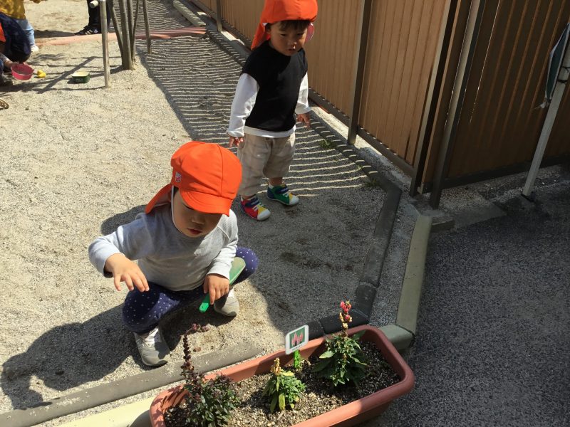 園庭で遊ぶのも楽しいな??
