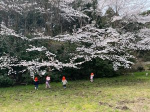 🌸ご入園・ご進級おめでとうございます🌸