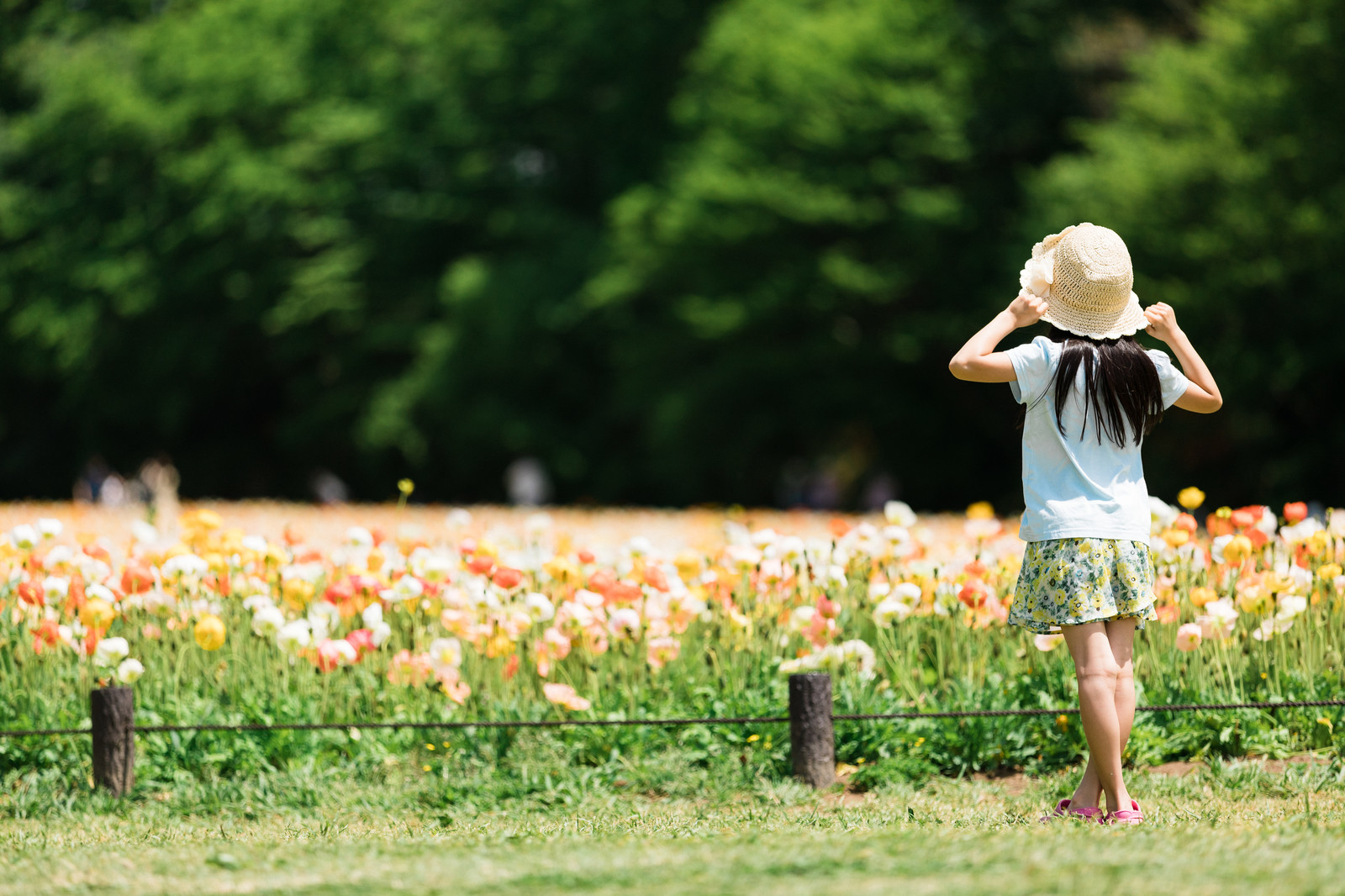 夏の日差しから子どもを守ろう