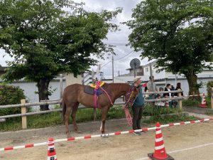 🐎馬まつりがあったよ🎠