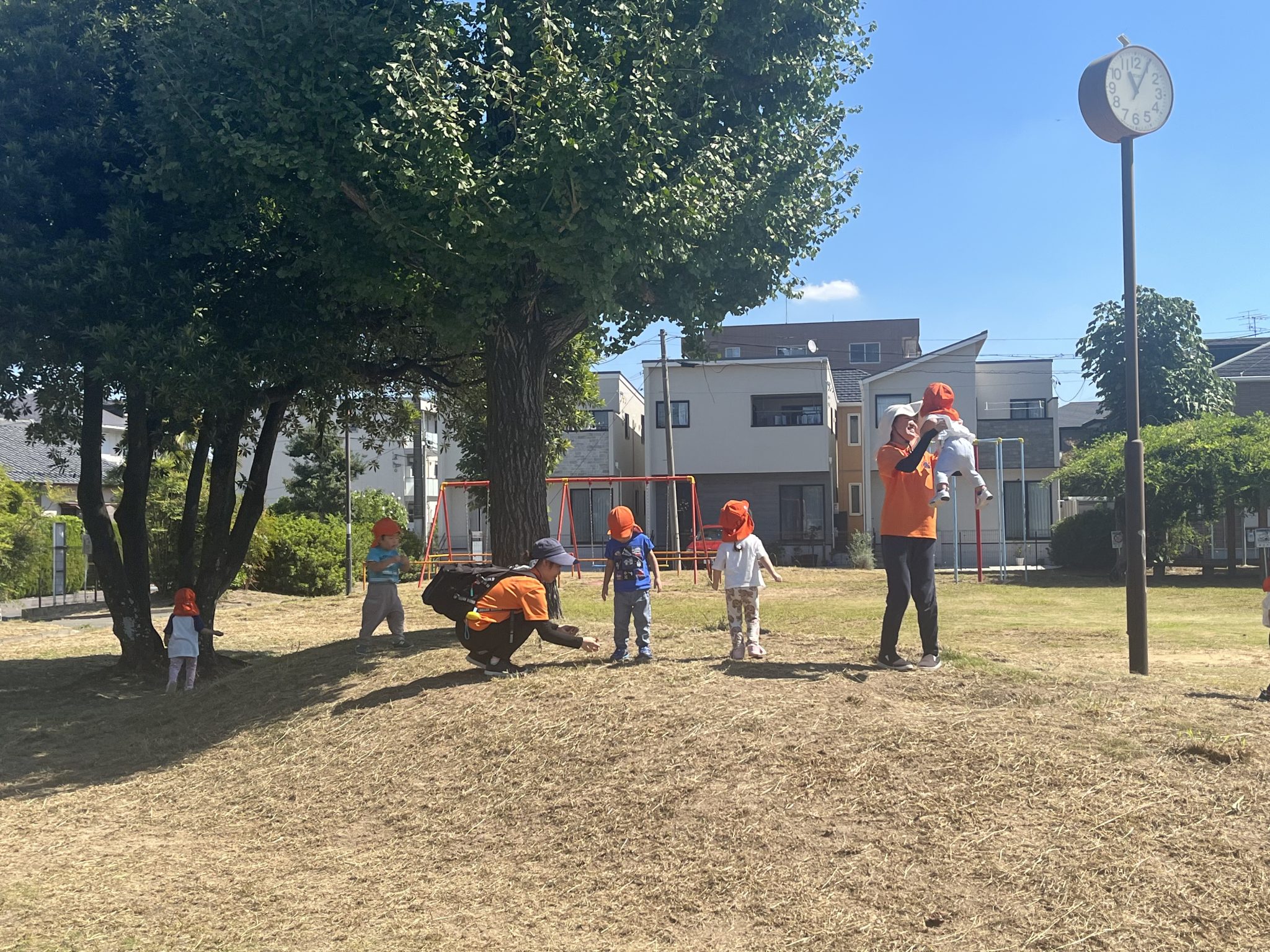 やっと秋の気配🍂前田公園