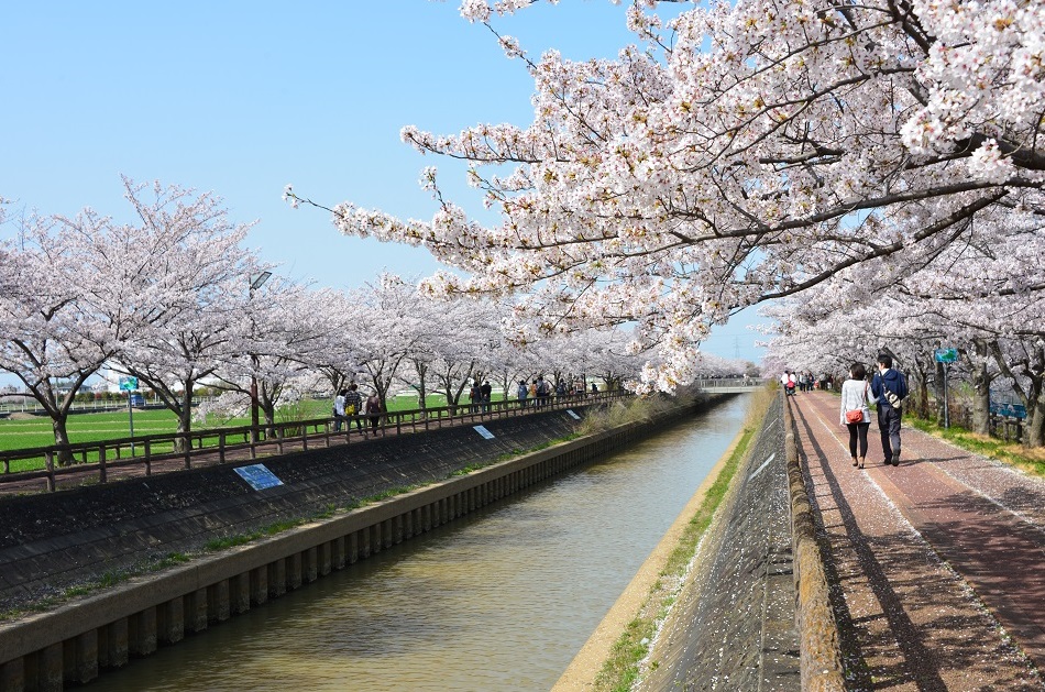 春のお出かけに🌸へいわさくらまつり＆桜グルメスタンプラリー